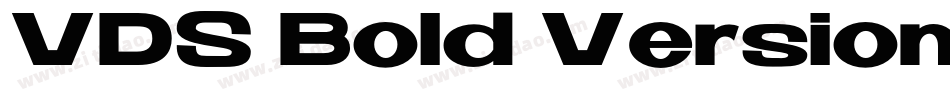 VDS Bold Version字体转换